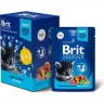 Пауч 5+1 цыпленок в соусе BRIT Premium для котят 5055098