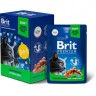 Пауч 5+1 цыпленок в соусе BRIT Premium для стерилизованных кошек 5055128