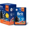 Пауч 5+1 лосось в соусе BRIT Premium для взрослых стерилизованных кошек 5055111