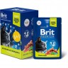 Пауч 5+1 ягненок и говядина в соусе BRIT Premium для стерилизованных кошек 5055104