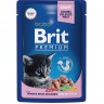 Пауч белая рыба в соусе BRIT Premium для котят 5048861
